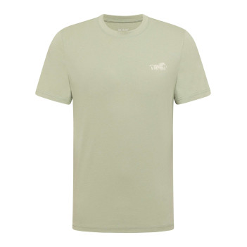 T-shirt en coton vert d'eau...