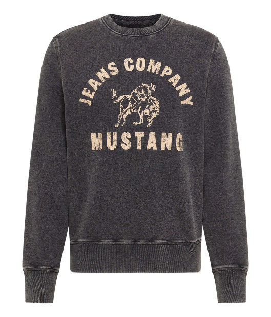 Sweat en coton anthracite légèrement délavé avec un imprimé et un col rond